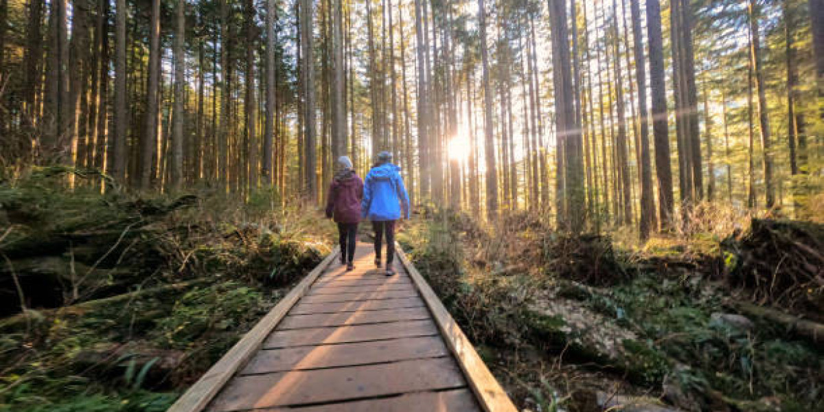 From U.S. to Canada: Smart Retirement and Tax Planning Strategies Crossing the 49th Parallel: Financial Must Knows for C